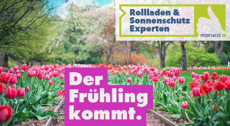 Der Frühling kommt bald. Auf nach draußen!